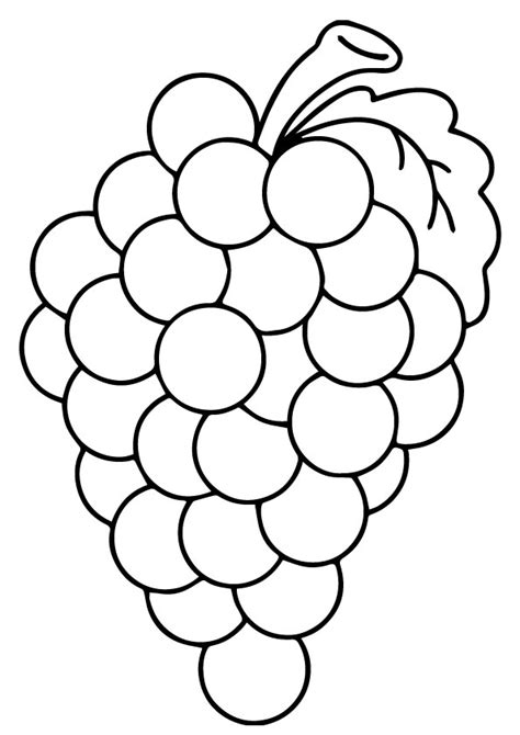 grapes coloring book|bunch of grapes to colour.